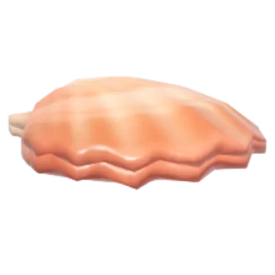 Scallop