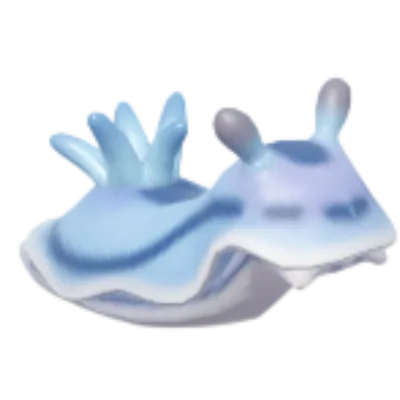 갯민숭달팽이