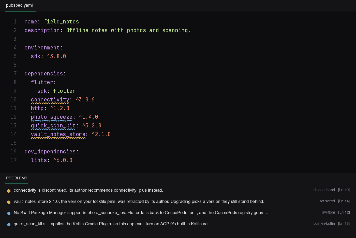 pubspec.yaml with findings