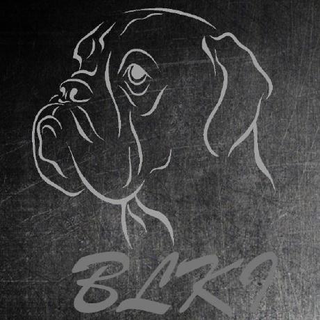 Black Iron Project logo