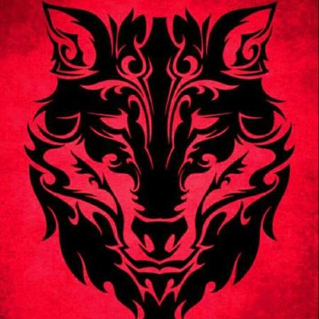 RedWolf Recovery Project logo