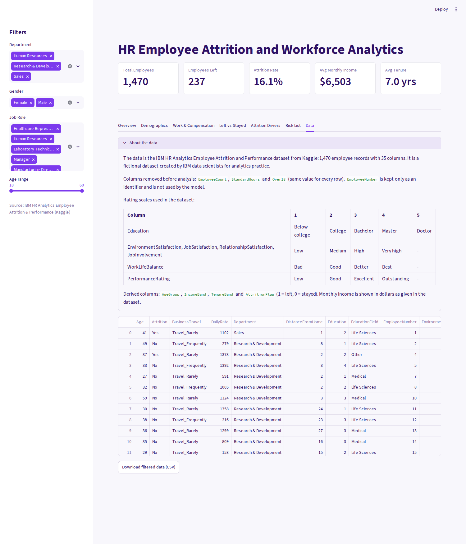 Dataset exploration view in the HR analytics dashboard