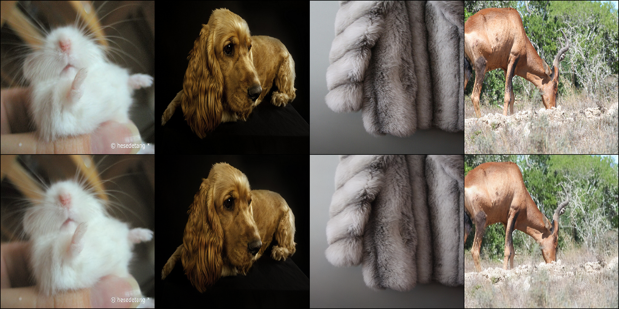 VAE Reconstruction on Unseen Data