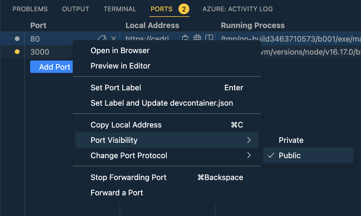 Codespace make public