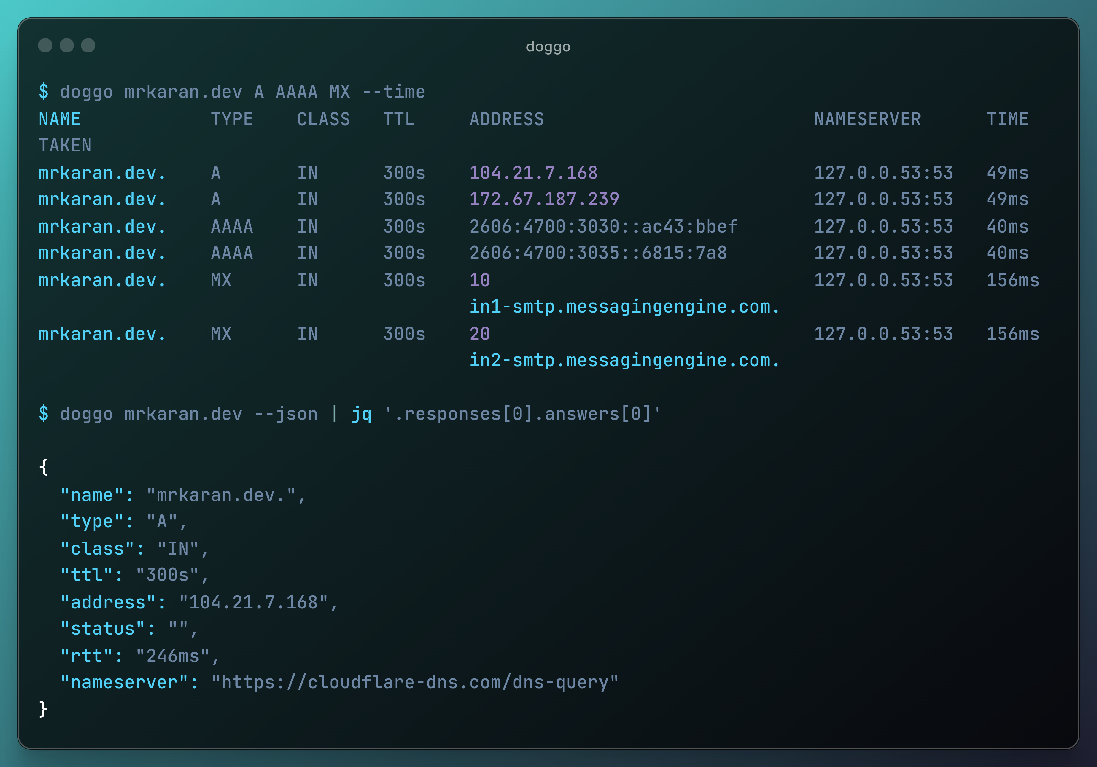 doggo CLI usage