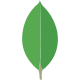 Mongodb