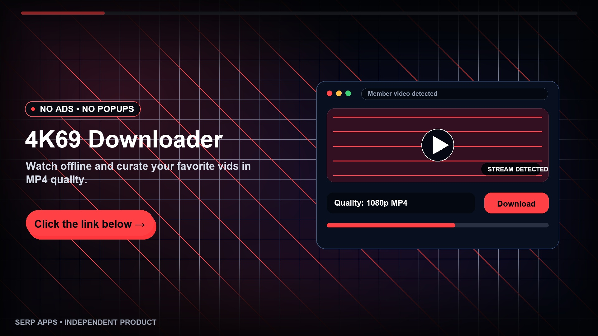 4k69 Downloader workflow preview