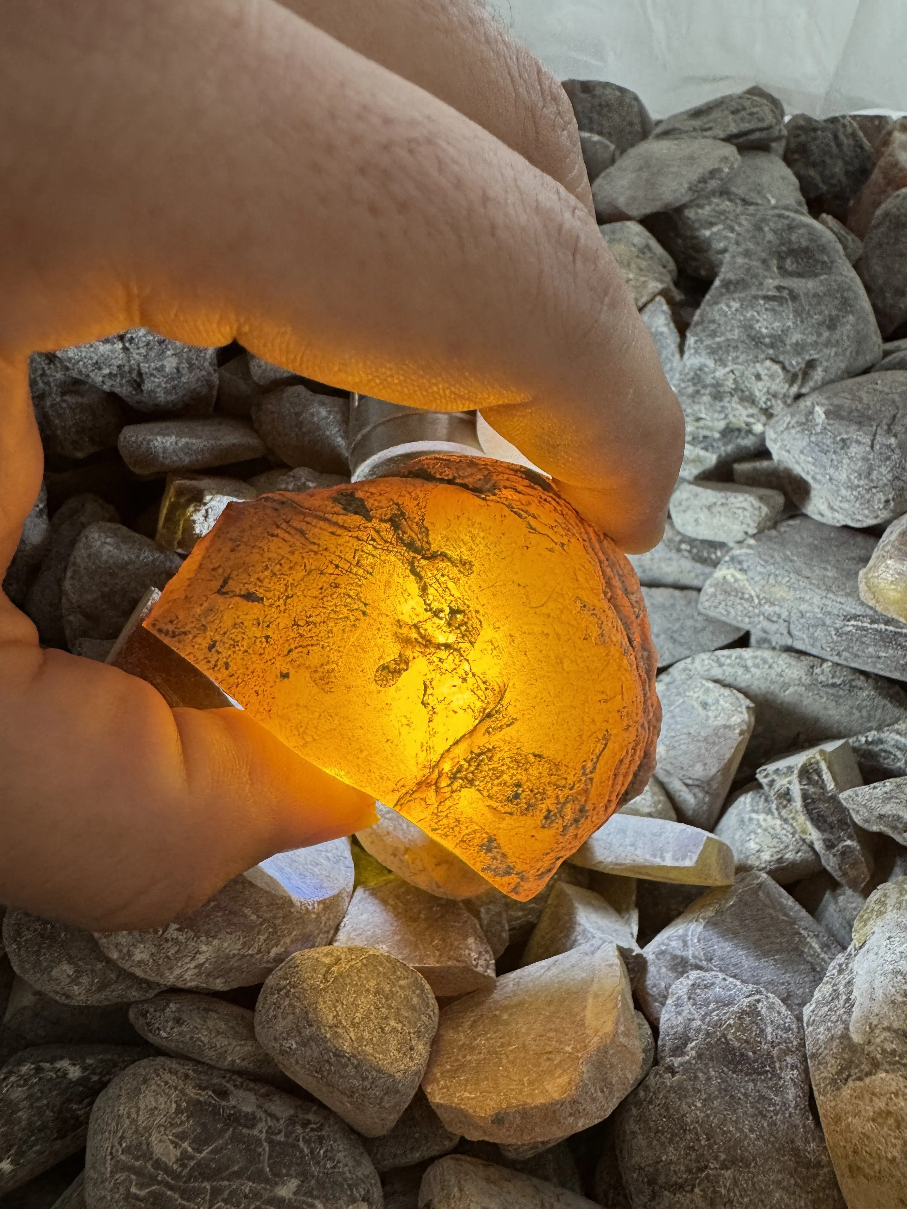 Burmese amber specimen 1