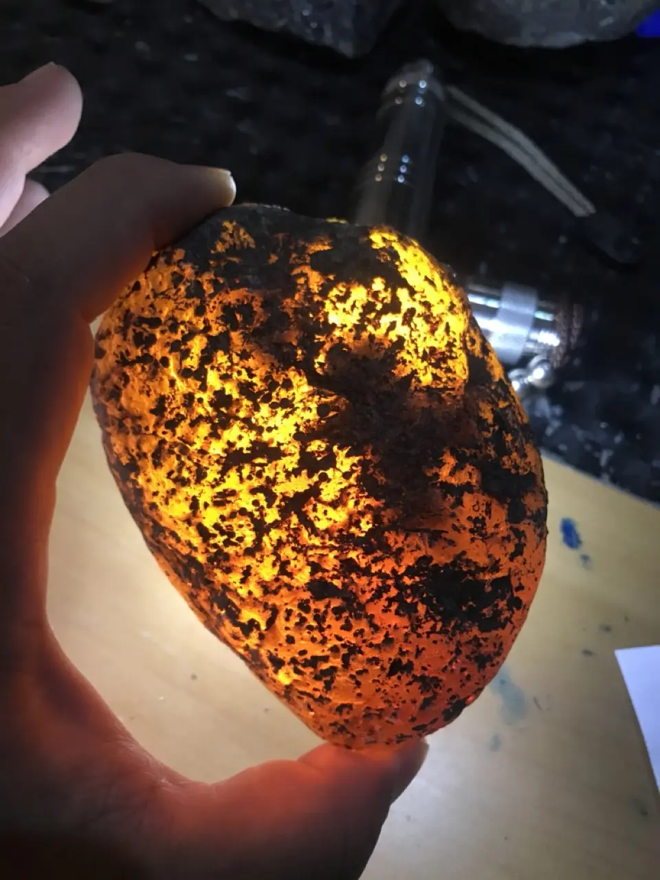 Burmese amber specimen 10