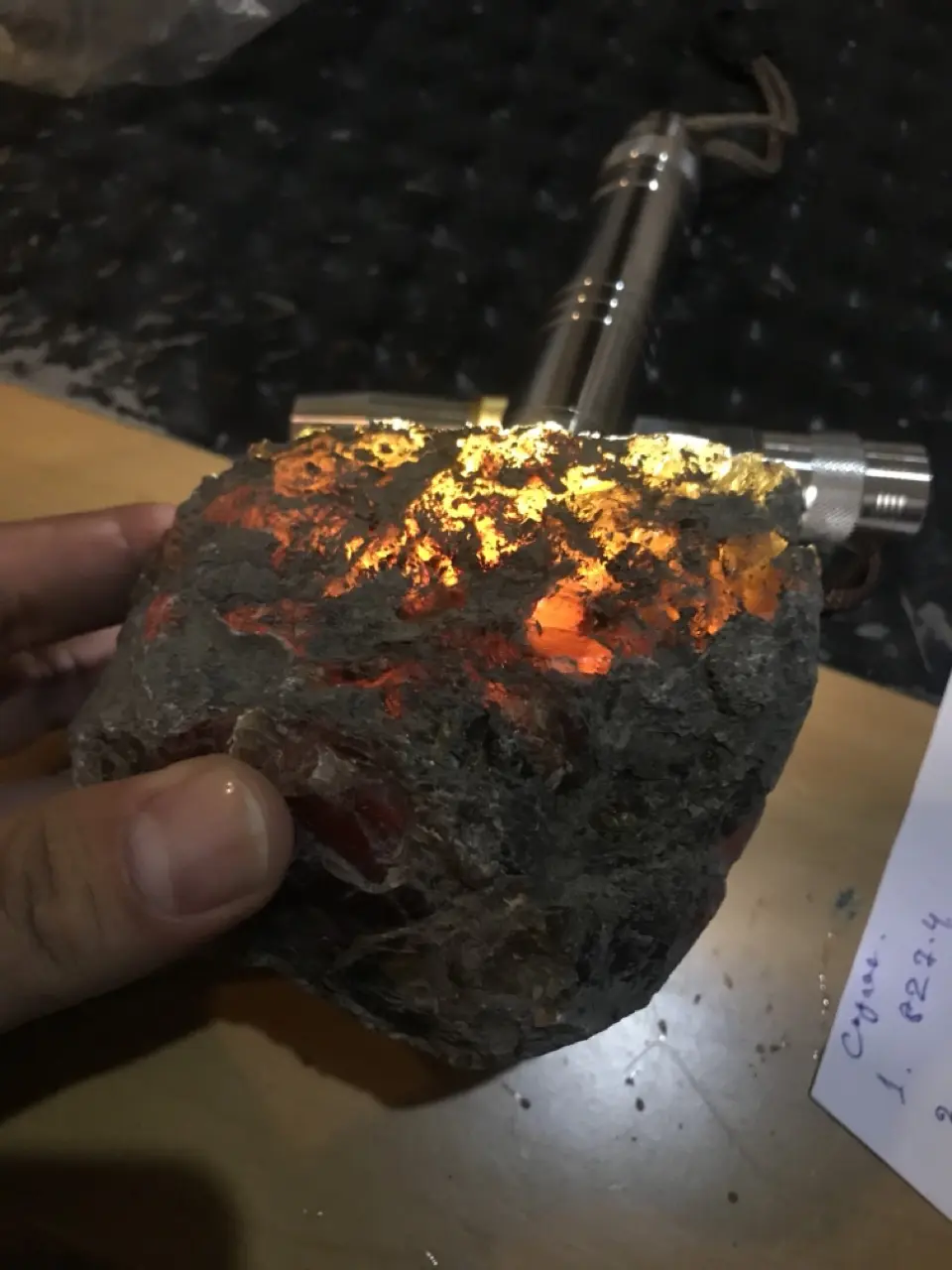 Burmese amber specimen 11