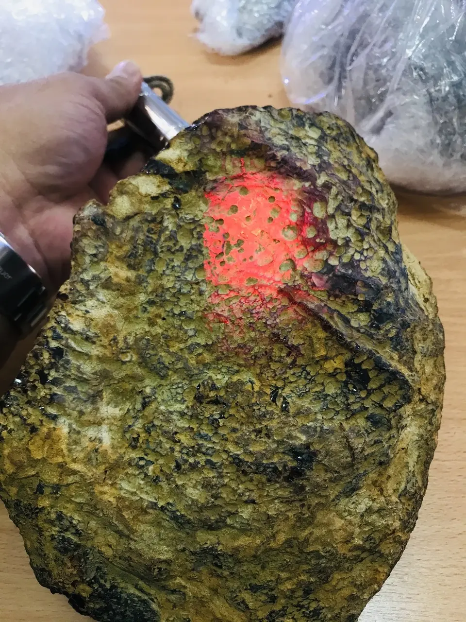Burmese amber specimen 13
