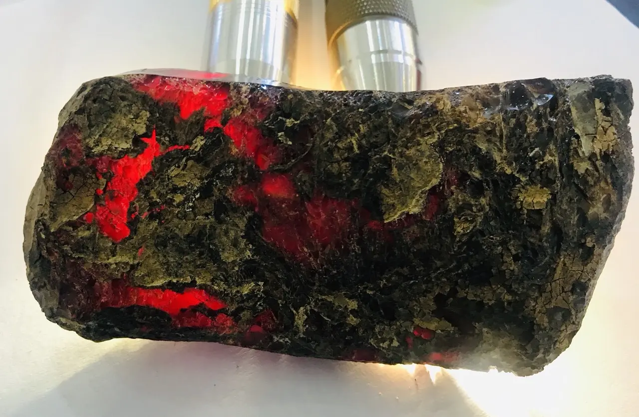 Burmese amber specimen 14