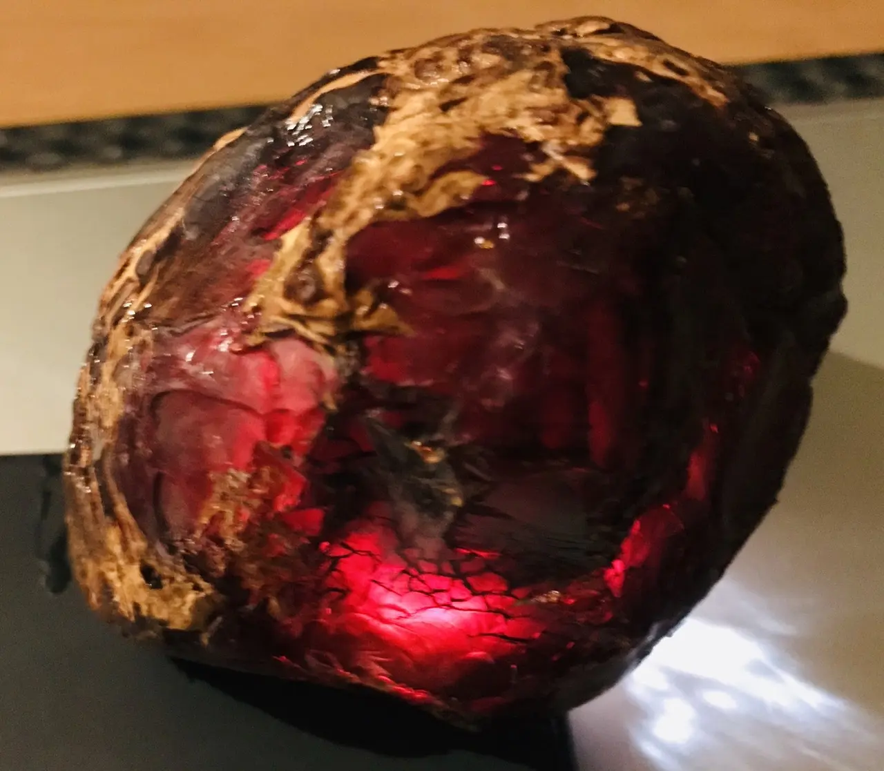 Burmese amber specimen 15