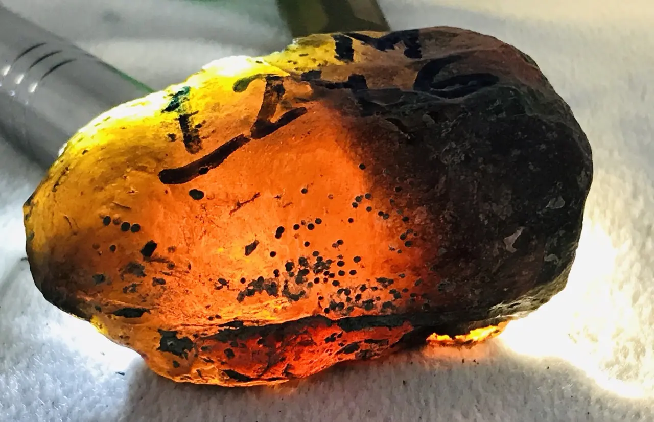 Burmese amber specimen 18