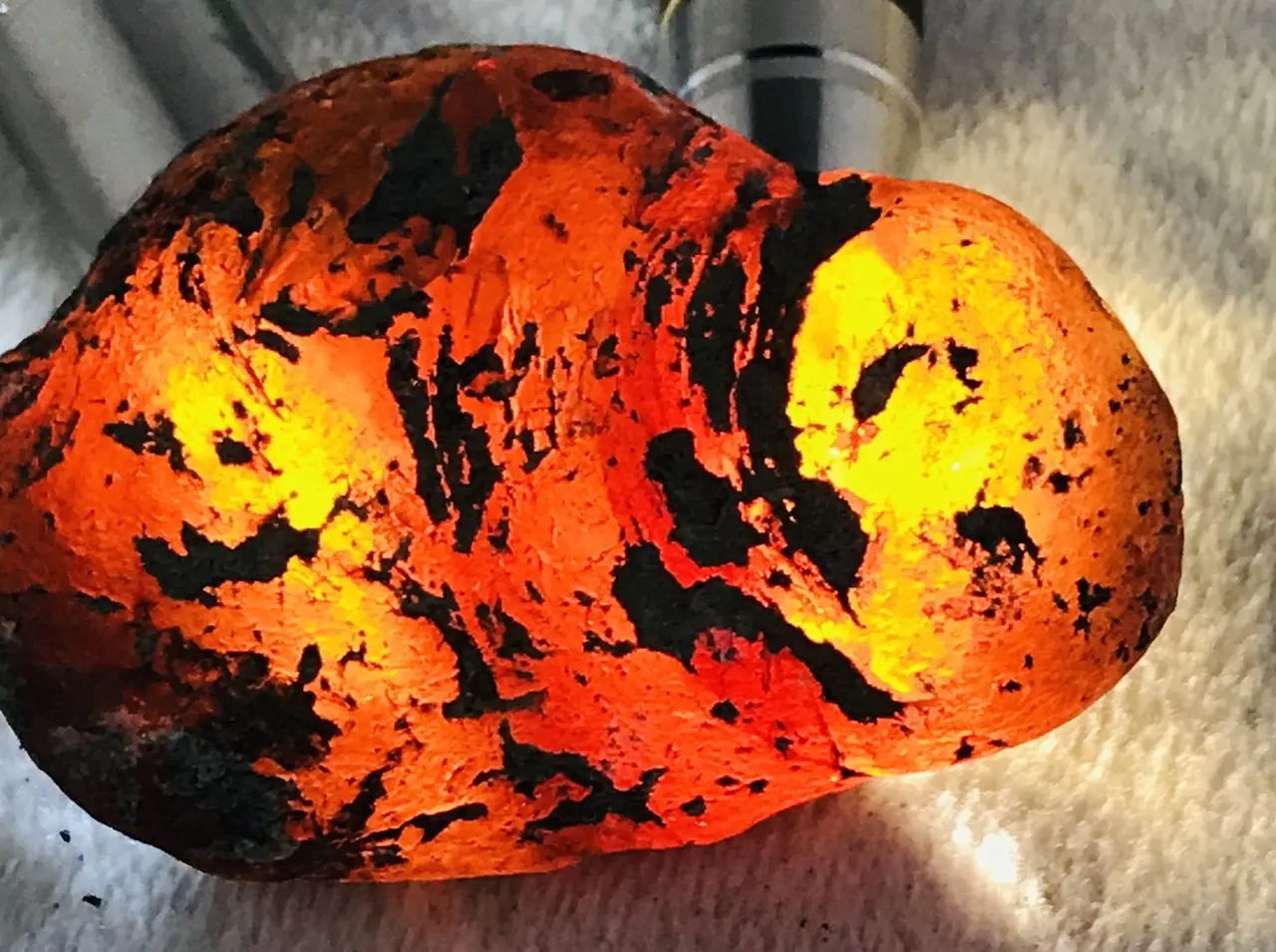Burmese amber specimen 19