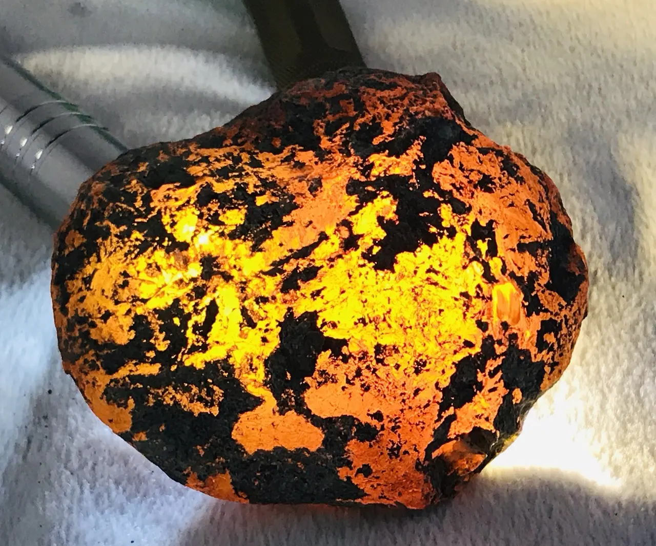 Burmese amber specimen 20