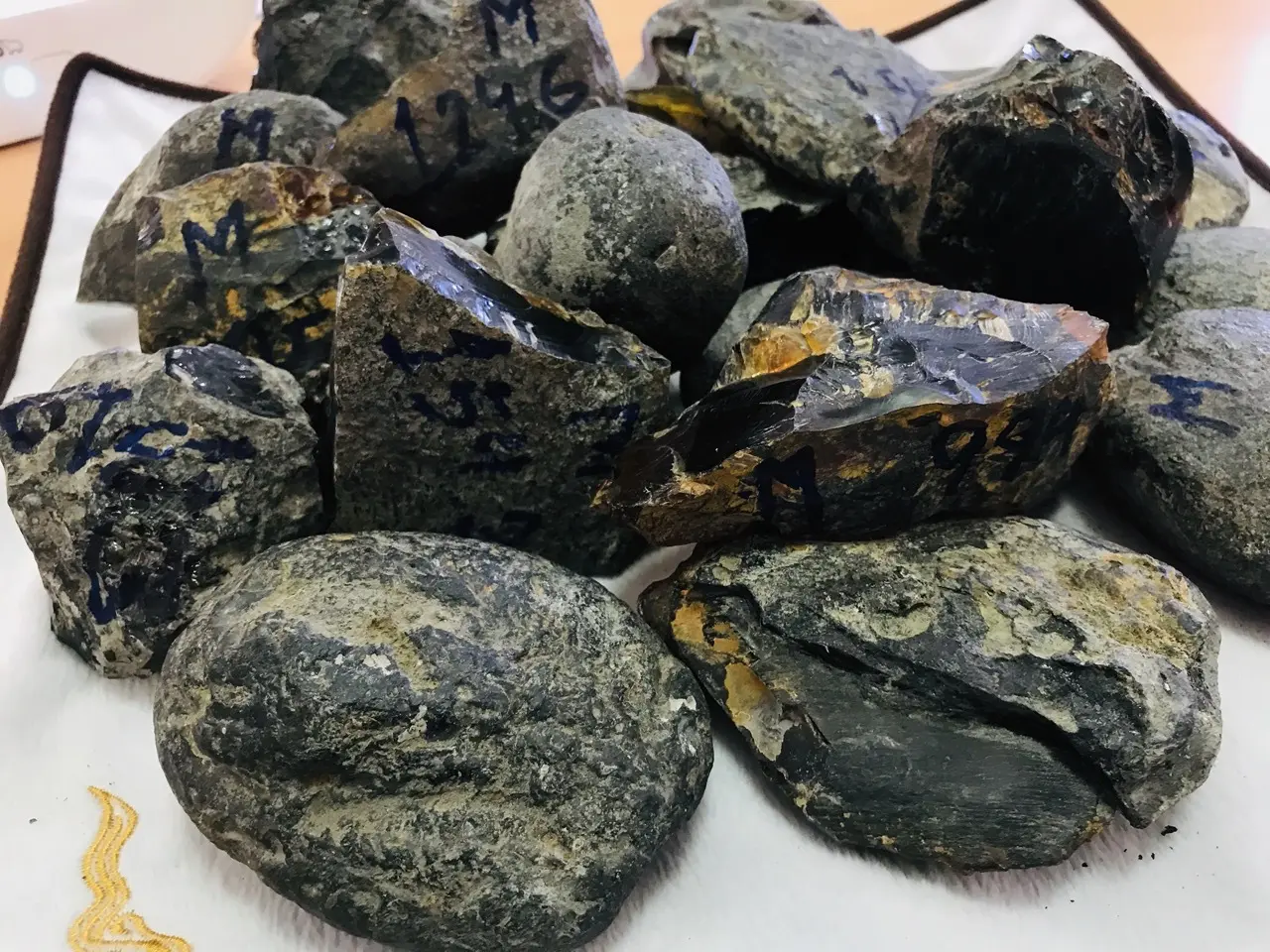 Burmese amber specimen 23