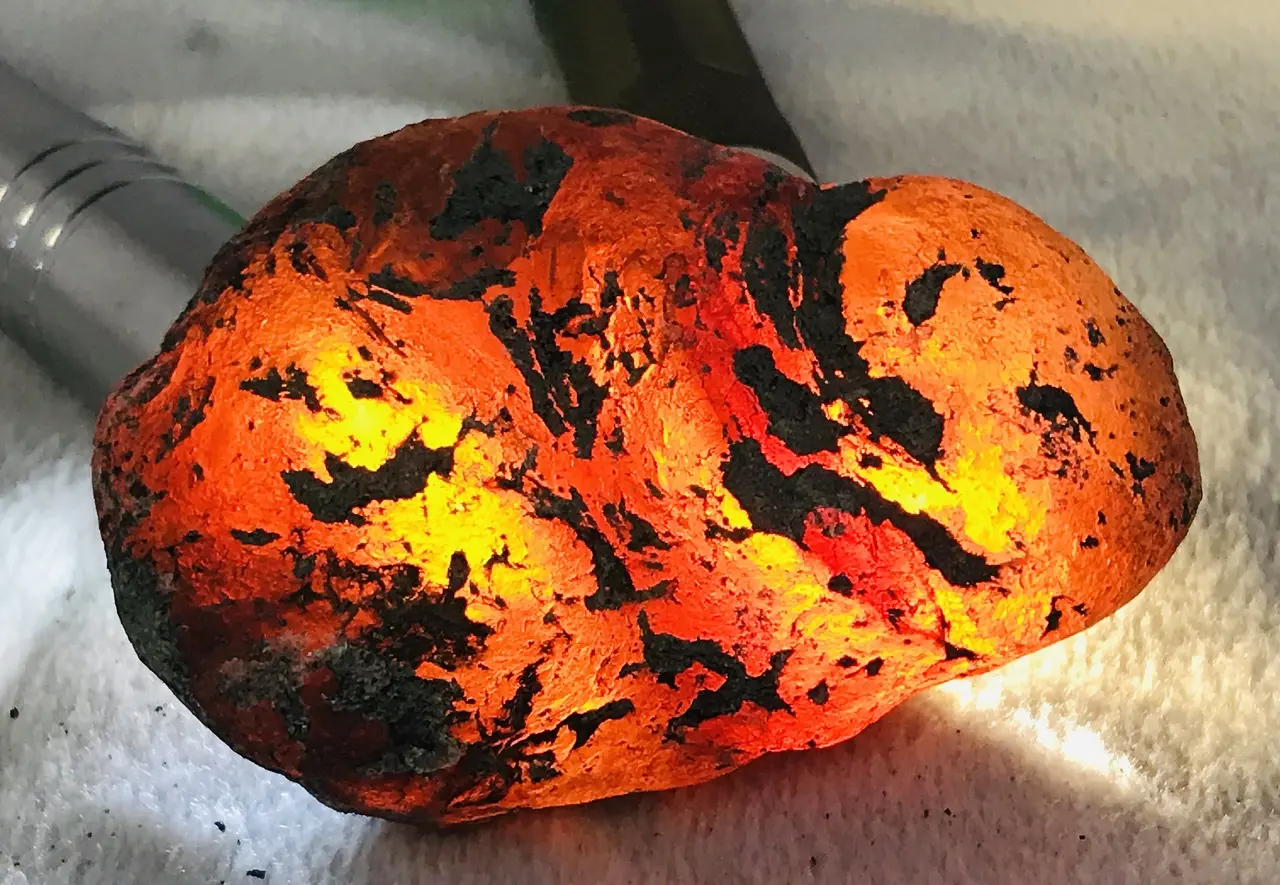 Burmese amber specimen 24