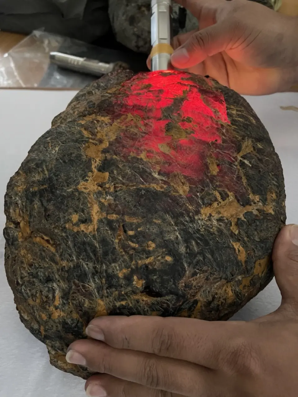 Burmese amber specimen 7