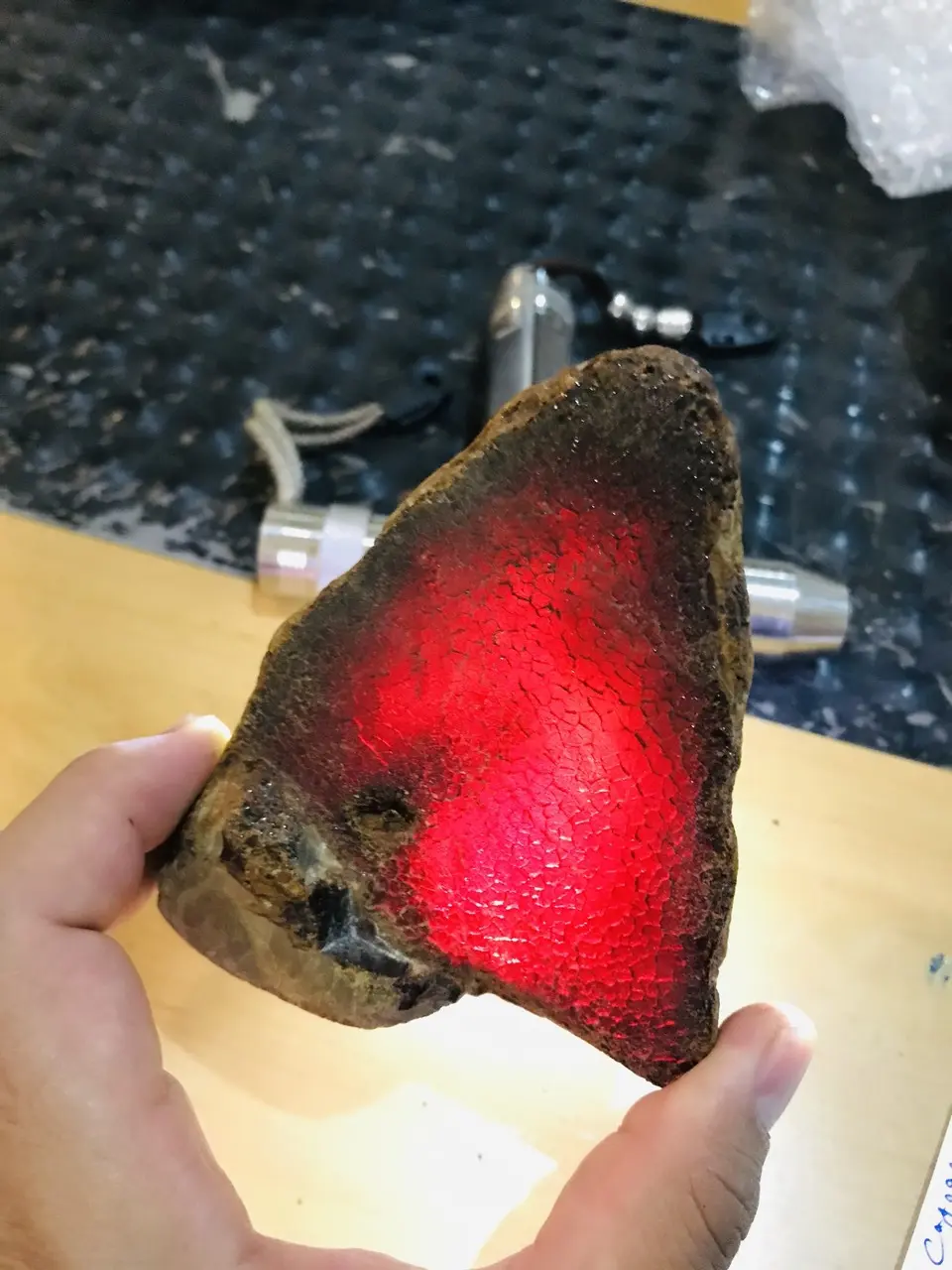 Burmese amber specimen 8
