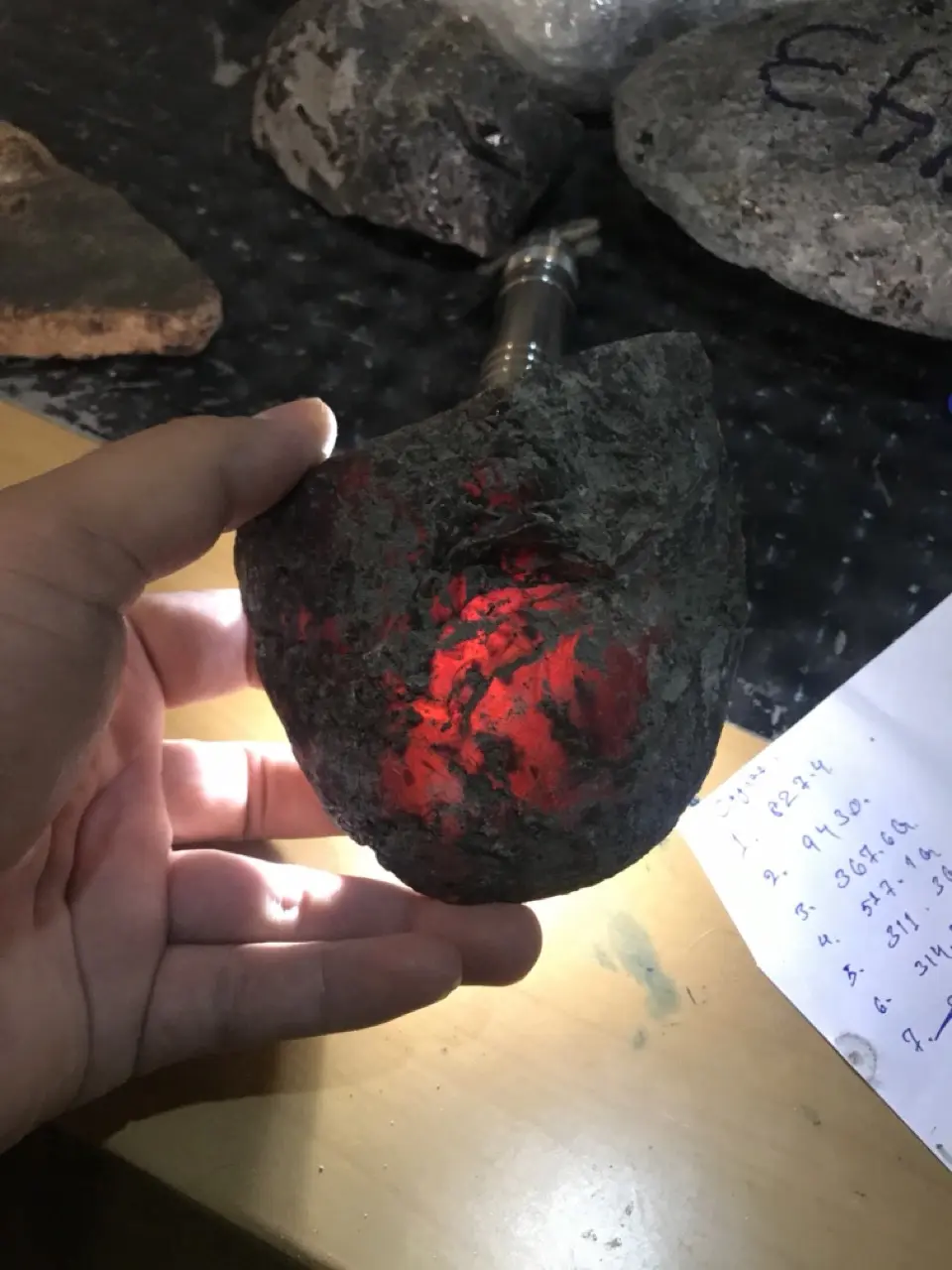 Burmese amber specimen 9