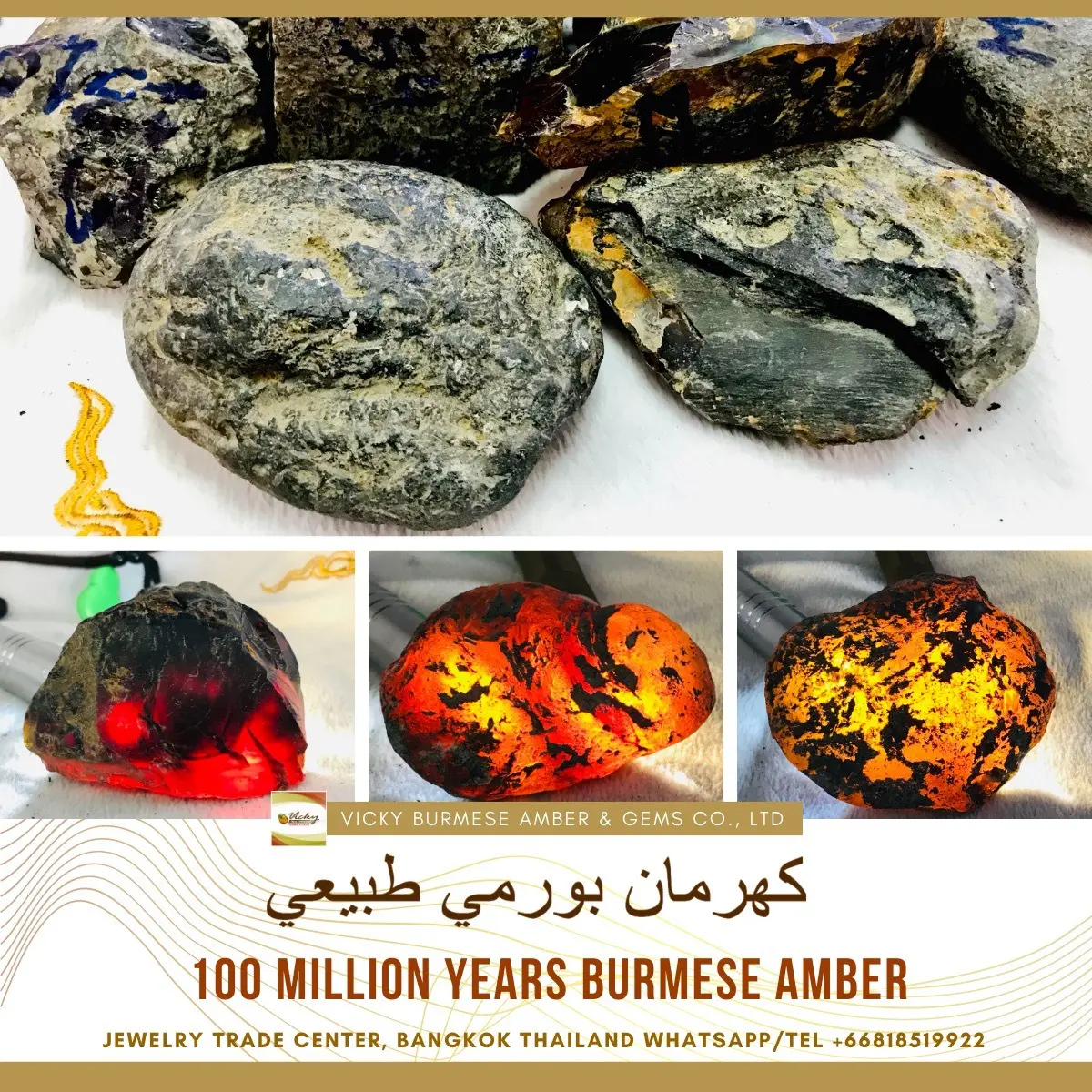 Burmese amber specimen 1