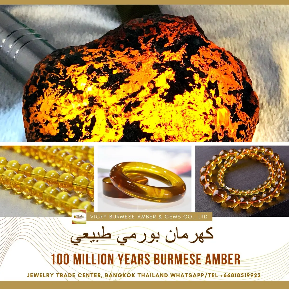 Burmese amber specimen 3