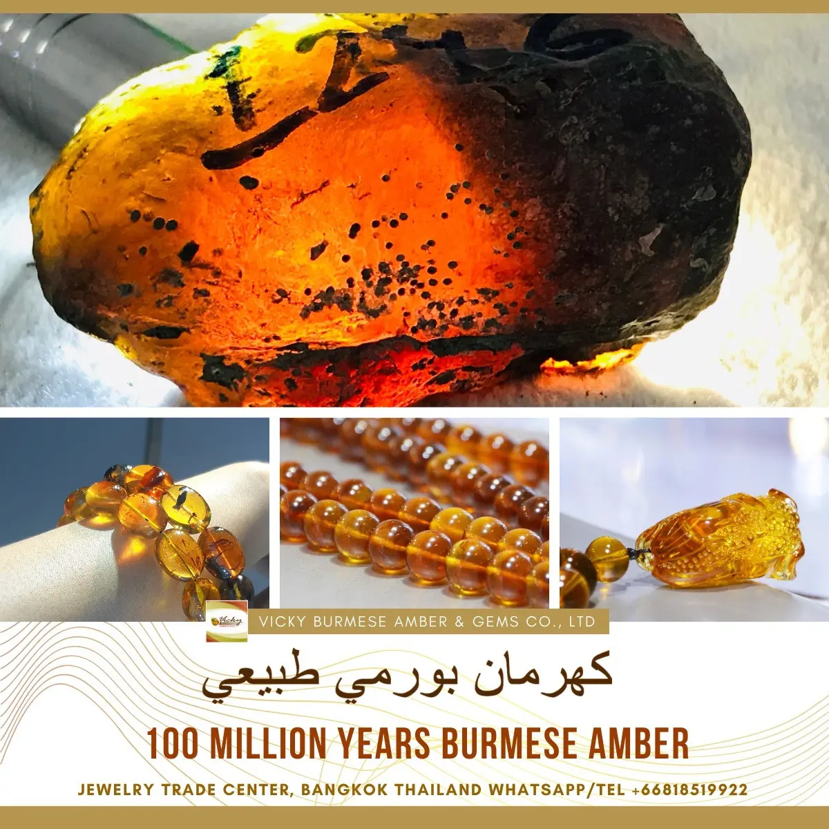 Burmese amber specimen 5
