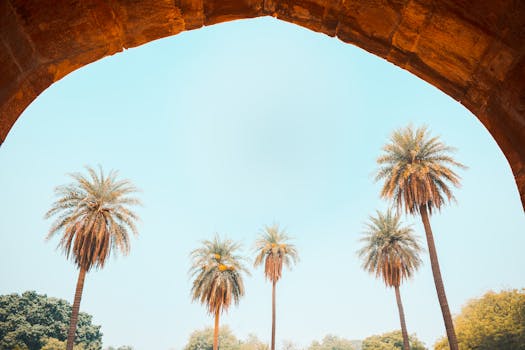 Lodhi Garden