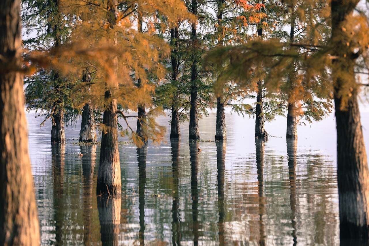 Relax at Damdama Lake