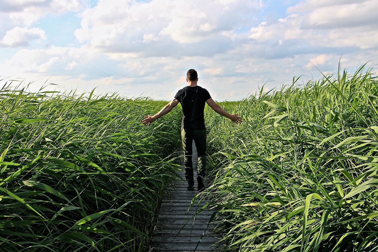 Enjoy a Nature Walk