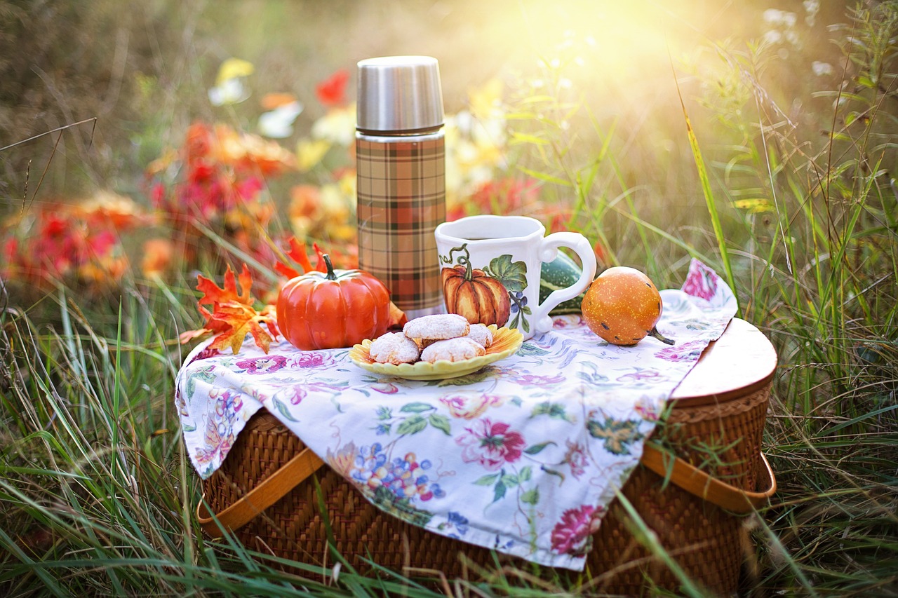 Relax at the Picnic Areas