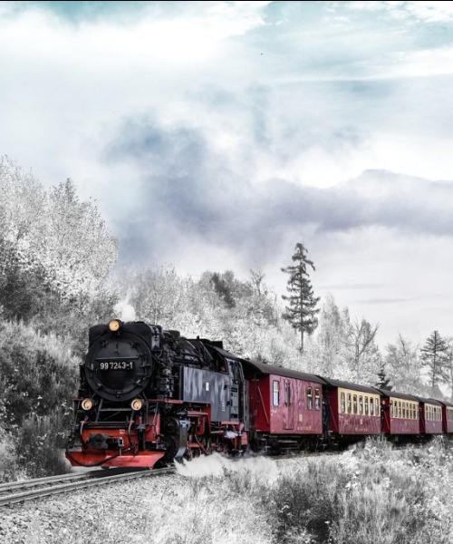 Experience the Toy Train to Shimla