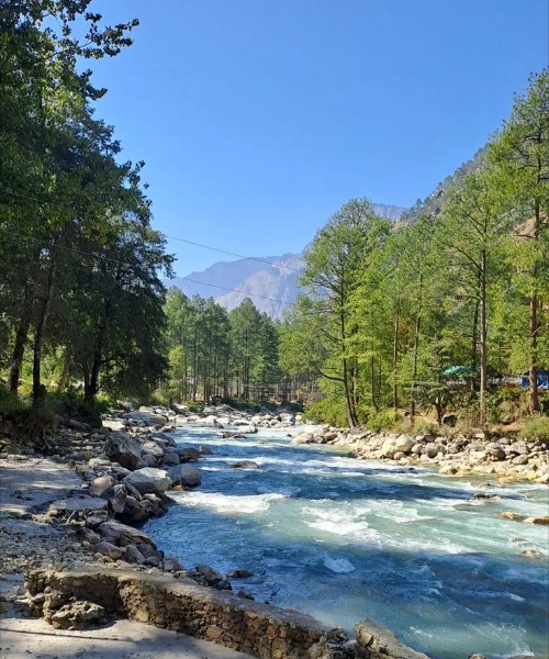 Relax by the Tirthan Valley