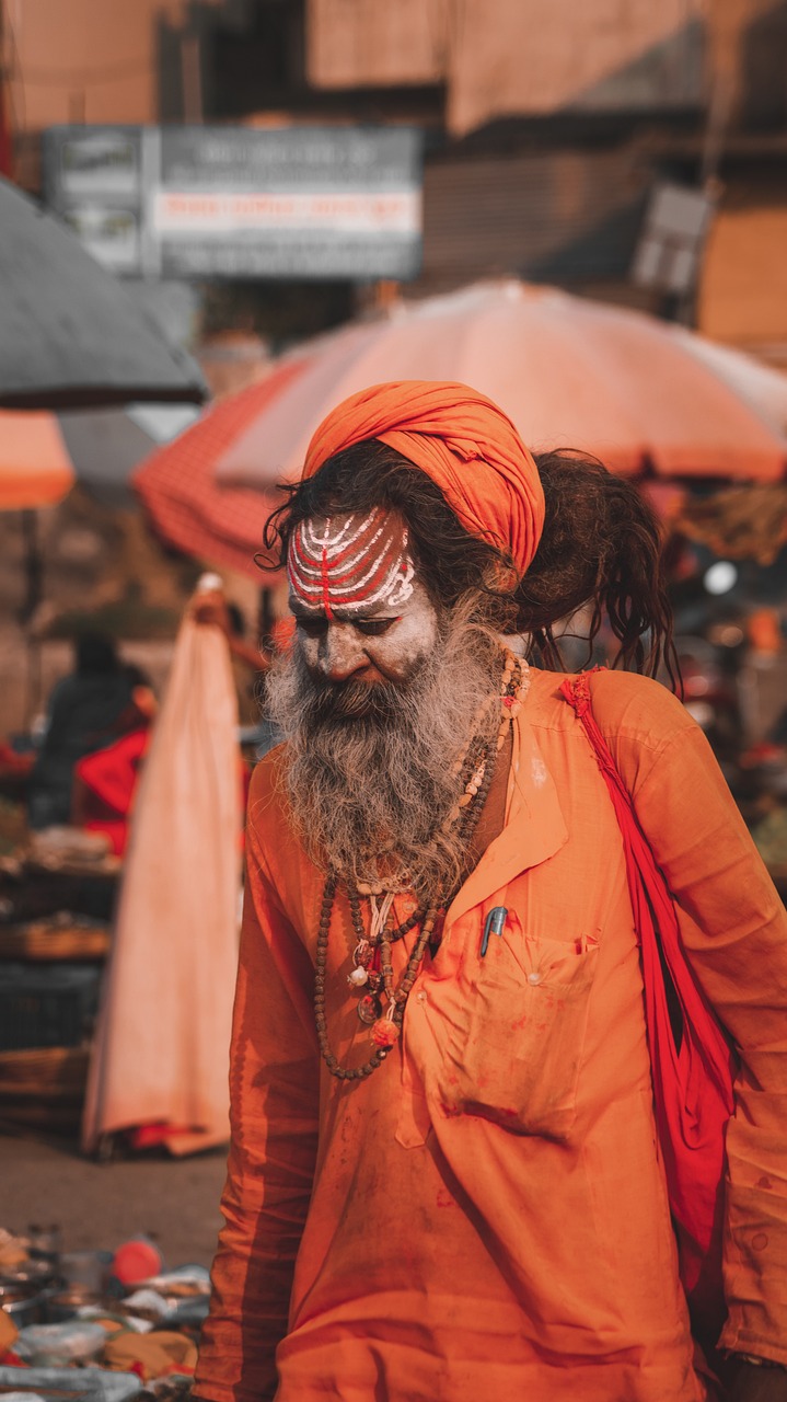 Meet the Sadhus