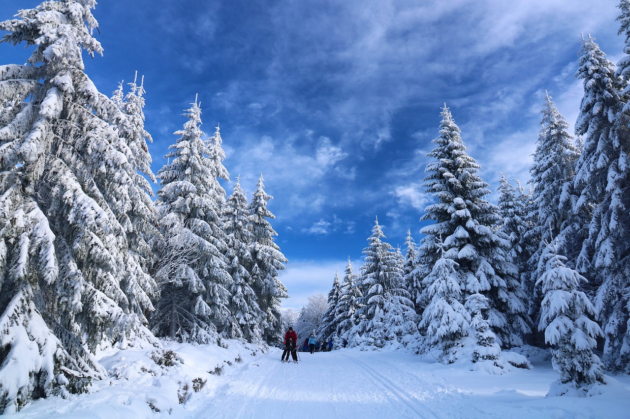 Skiing in Winter