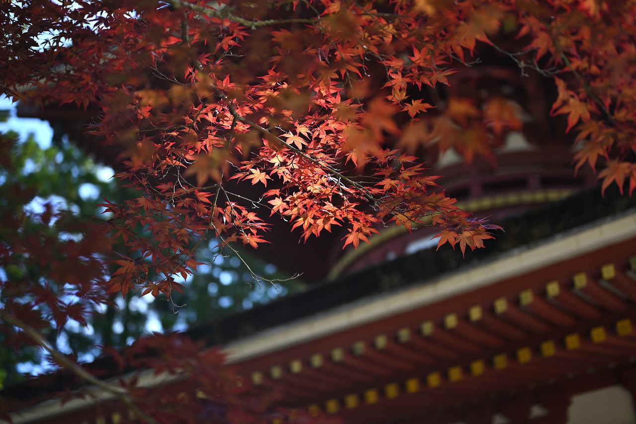 Hike to the Temple