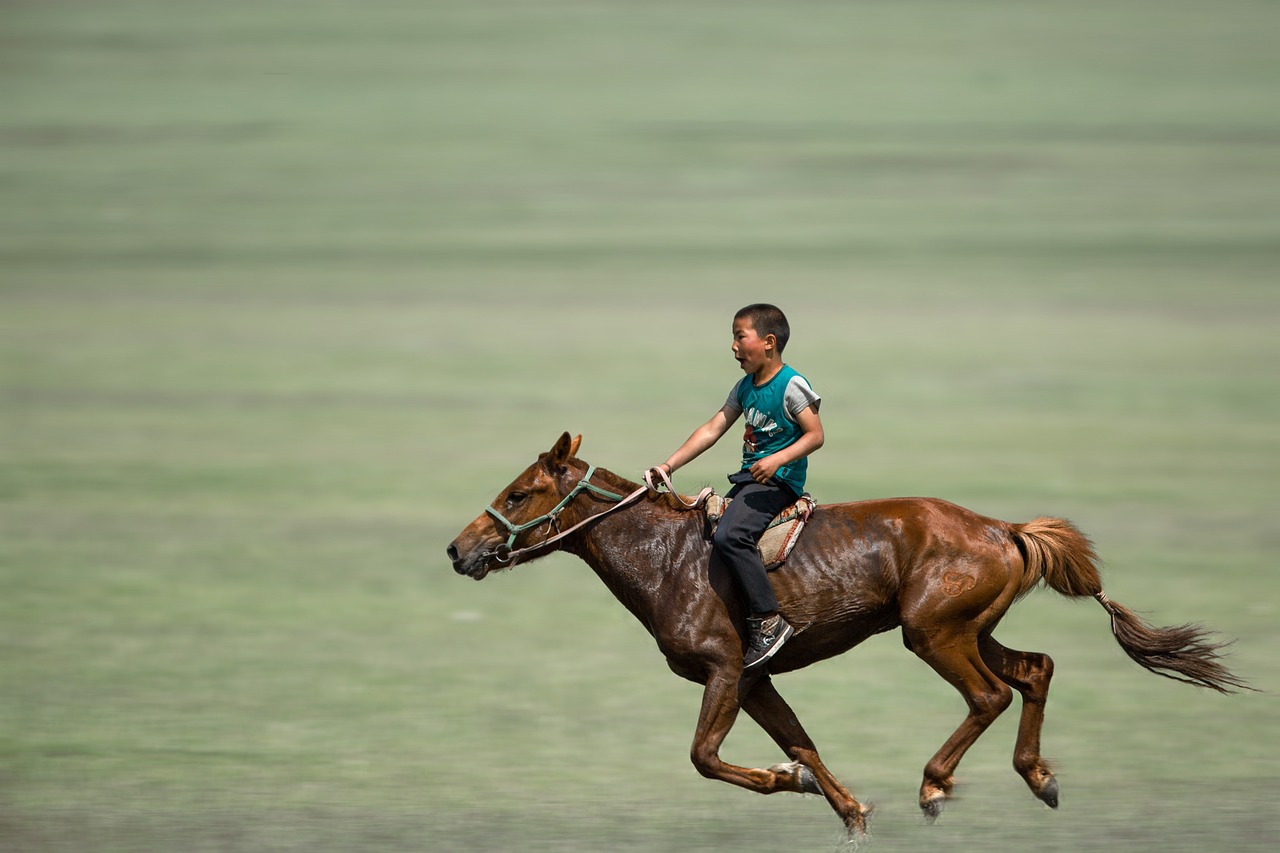 Horse Riding in Sonmarg