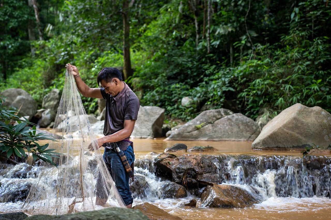 Fishing in the streams