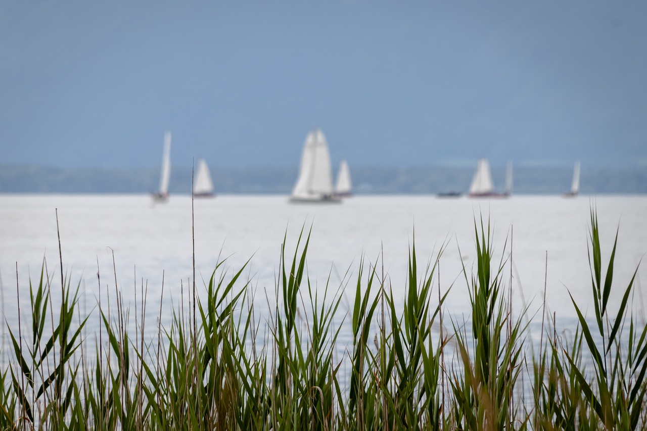 Tsomoriri Lake Trip