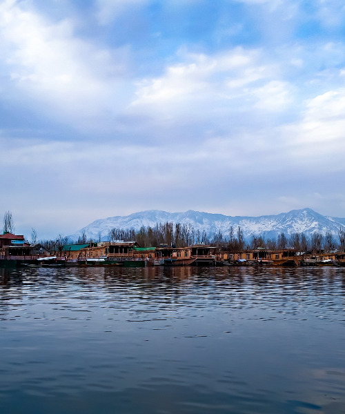 Shikara Ride on Dal Lake