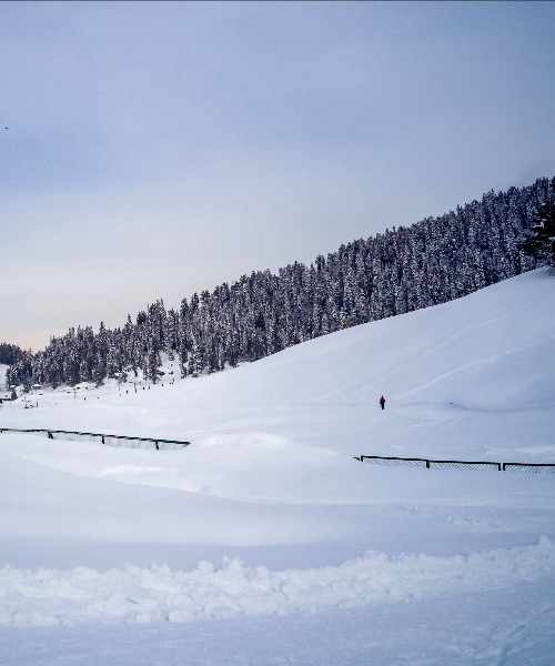 Explore Gulmarg