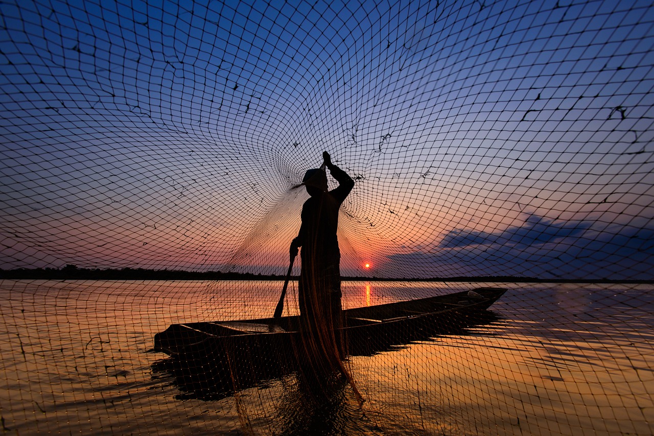 Explore the Chinese Fishing Nets