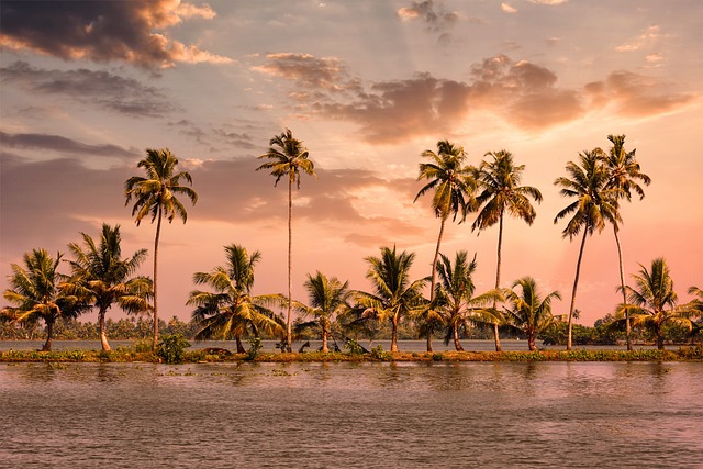 Kumarakom Bird Sanctuary