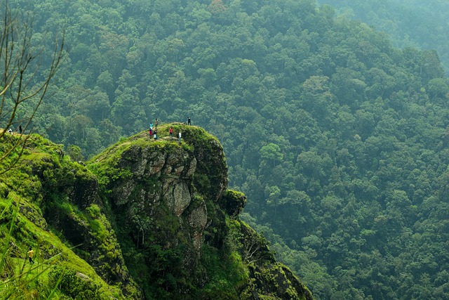 Vagamon Hills