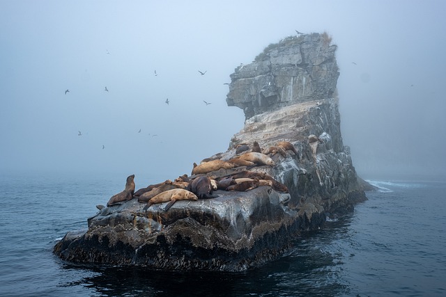 Vypin Island