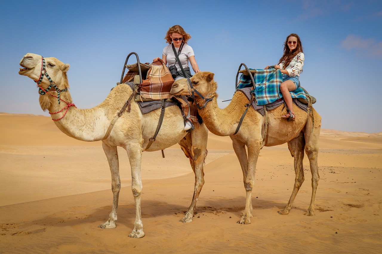 Camel Cart Rides