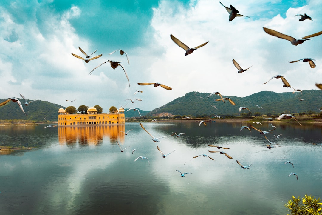 Jal Mahal