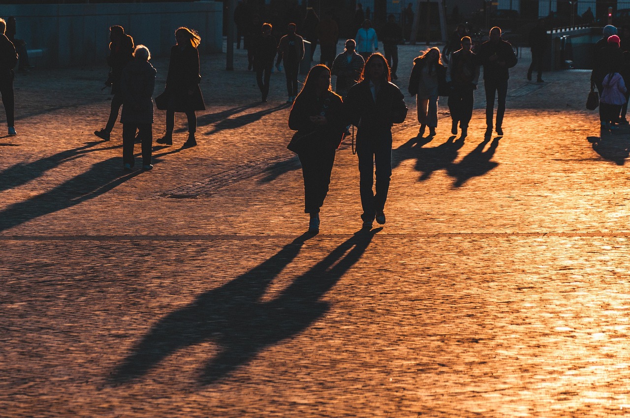 Evening Light Shows