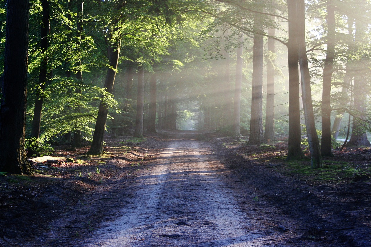 Nature Trails